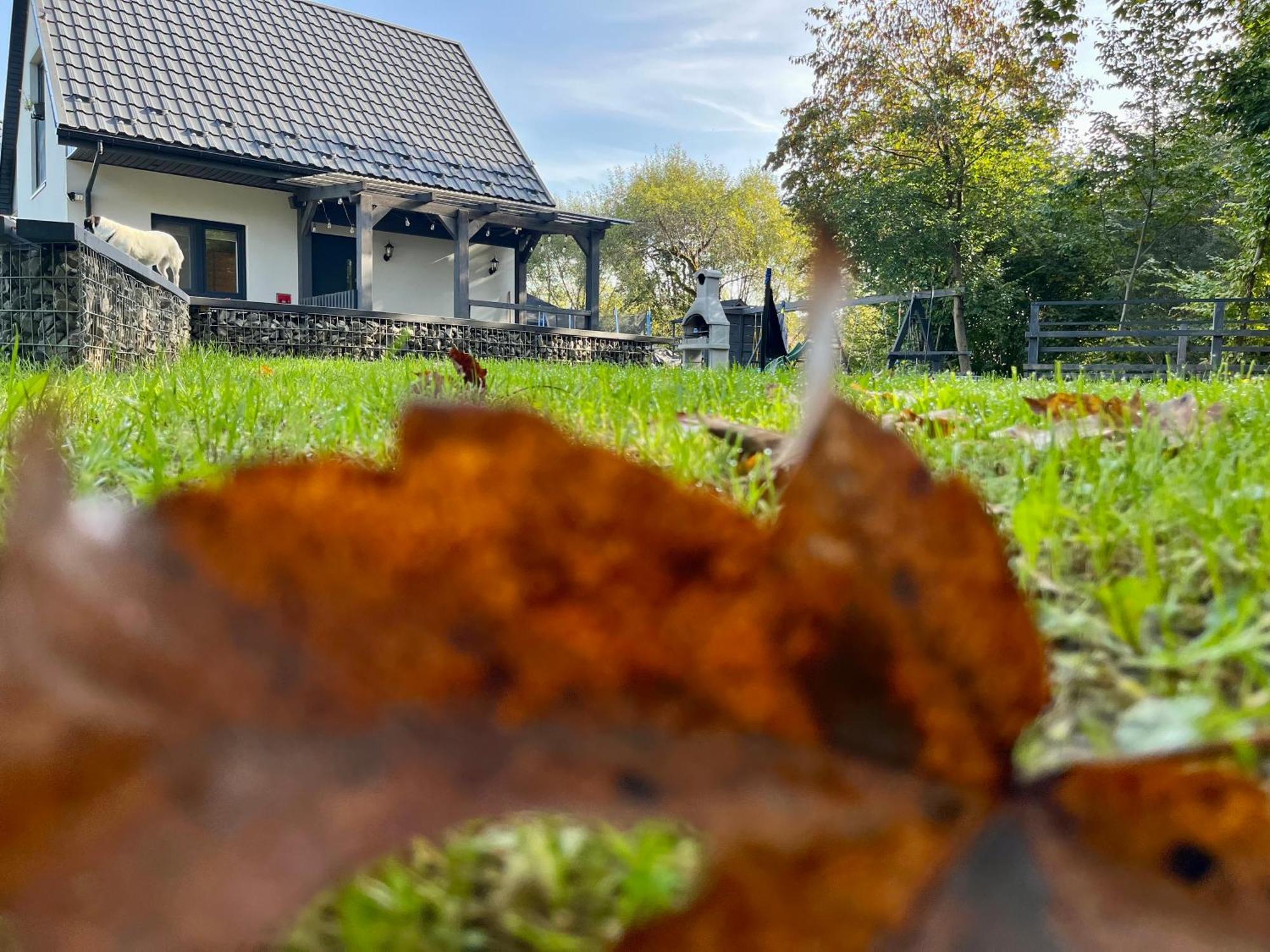 Domki Nad Starym Potokiem Ustrzyki Dolne Exterior foto